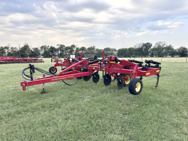 sous-soleuse sunflower